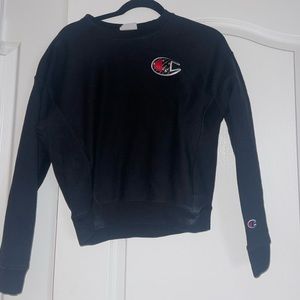 A Cropped Champion sweatshirt, size small